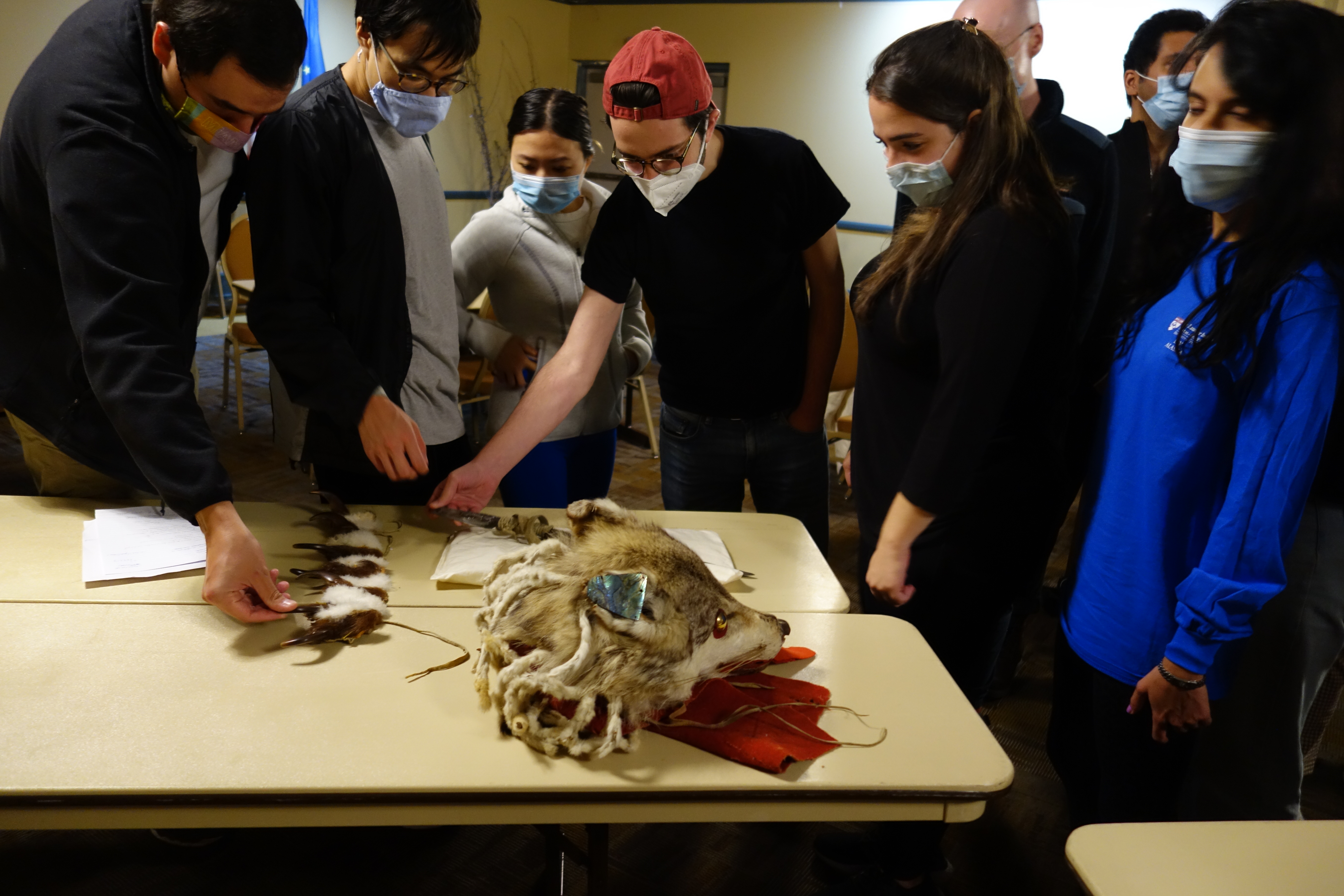 Students gather around a wolf headdress on a table