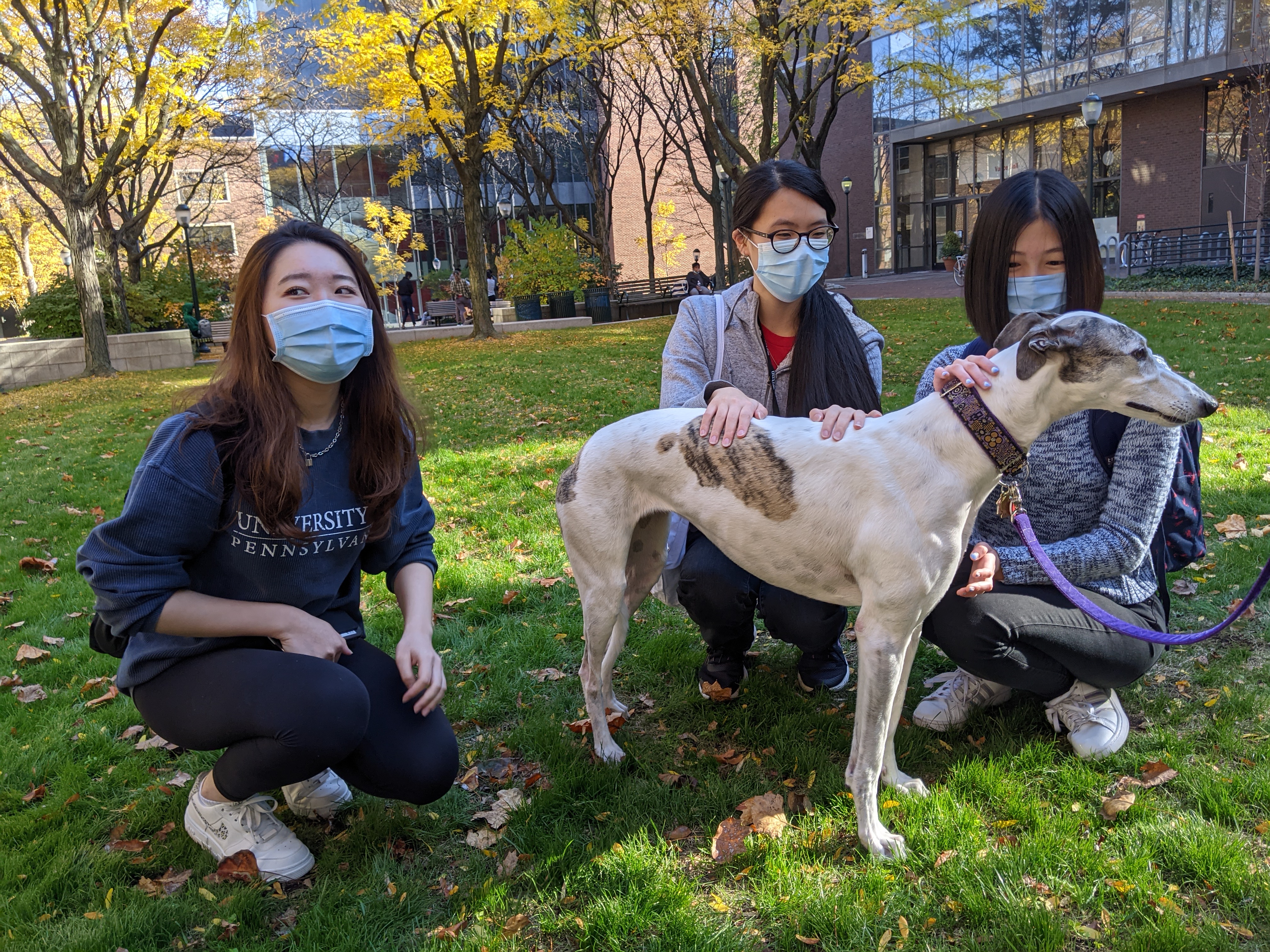Penn students petting a dog outside