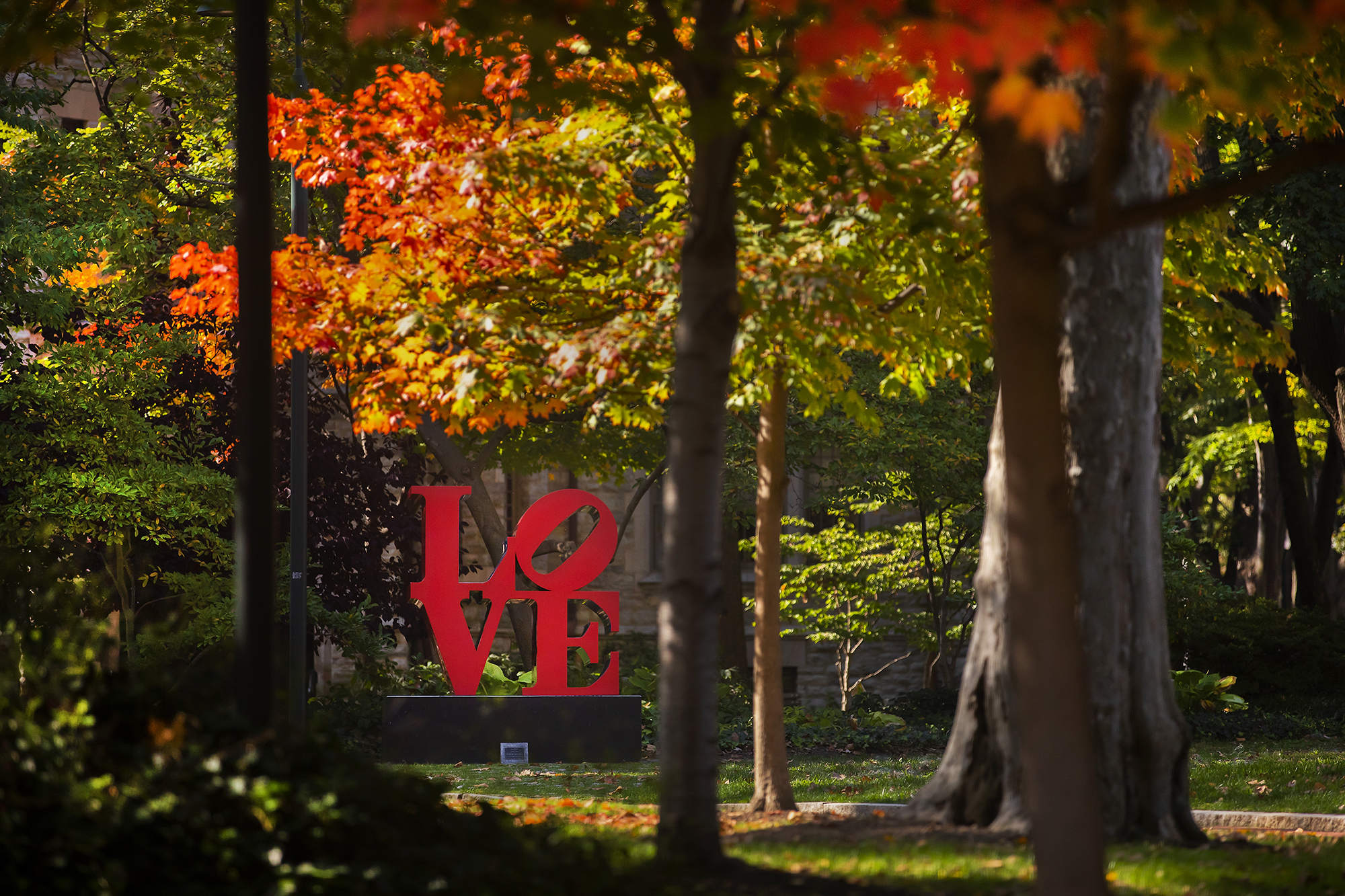 Robert Indiana’s LOVE statue on Penn’s College Green in autumn.