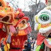 Children in colorful and eccentric lion costumes for the traditional Lion Dance