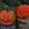 Pumpkins carved with a face and boo.