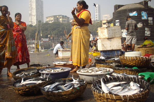 Women-chat-selling-at-Fish-Auction-dockside-in-Mumbai-India-photo-by-Photo by Rudolph A. Furtado, from Wikimedia Commons.