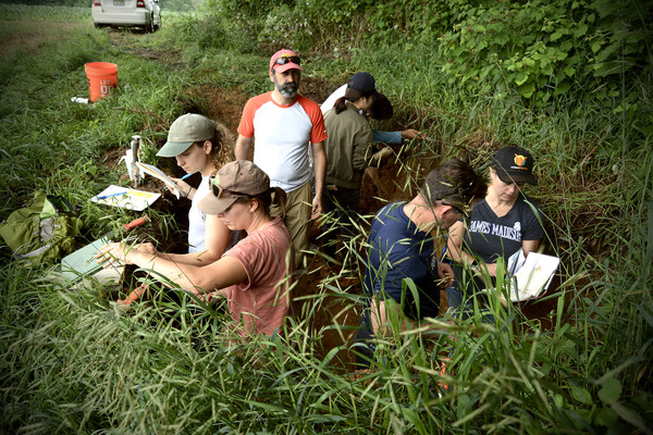 Group of students with professor standing in a soil pit, five feet deep, with vegetation surrounding