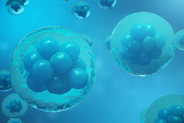 3D Rendering human or animal cells on blue background