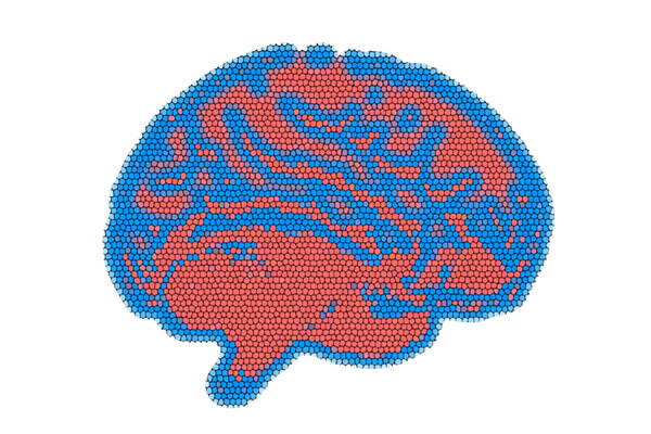 Pixelated image of a brain with red, blue, and purple regions