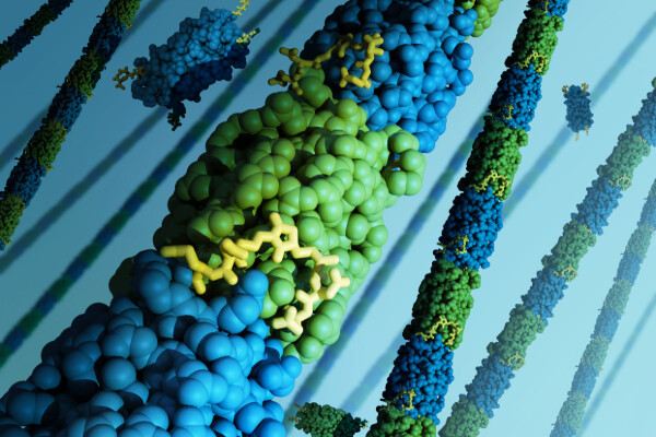 long chains of blue and green molecules, depicted as randomly spaced dots along the chain. a close-up view of one of the chains in the foreground shows an aromatic chemical, depicted in yellow, linked to the structure
