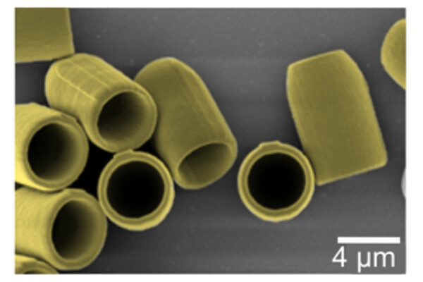 microscopic image of small gold cylinders